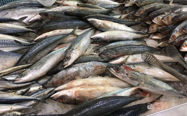 ベトナムで食べられている魚の種類図鑑|代表的な白身魚や魚肉ソーセージも紹介
