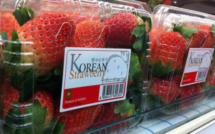 韓国産イチゴ
